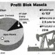 PROYEK LNG : GE Bidik Kilang Masela